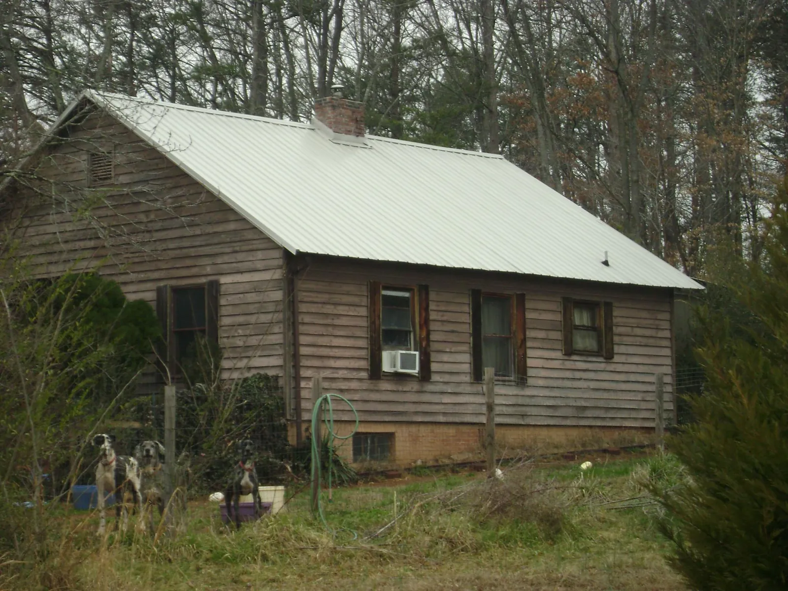 White metal roof on an old wood sided farmhouse, from a Asphalt Shingle Roof Repair job in Ellendale